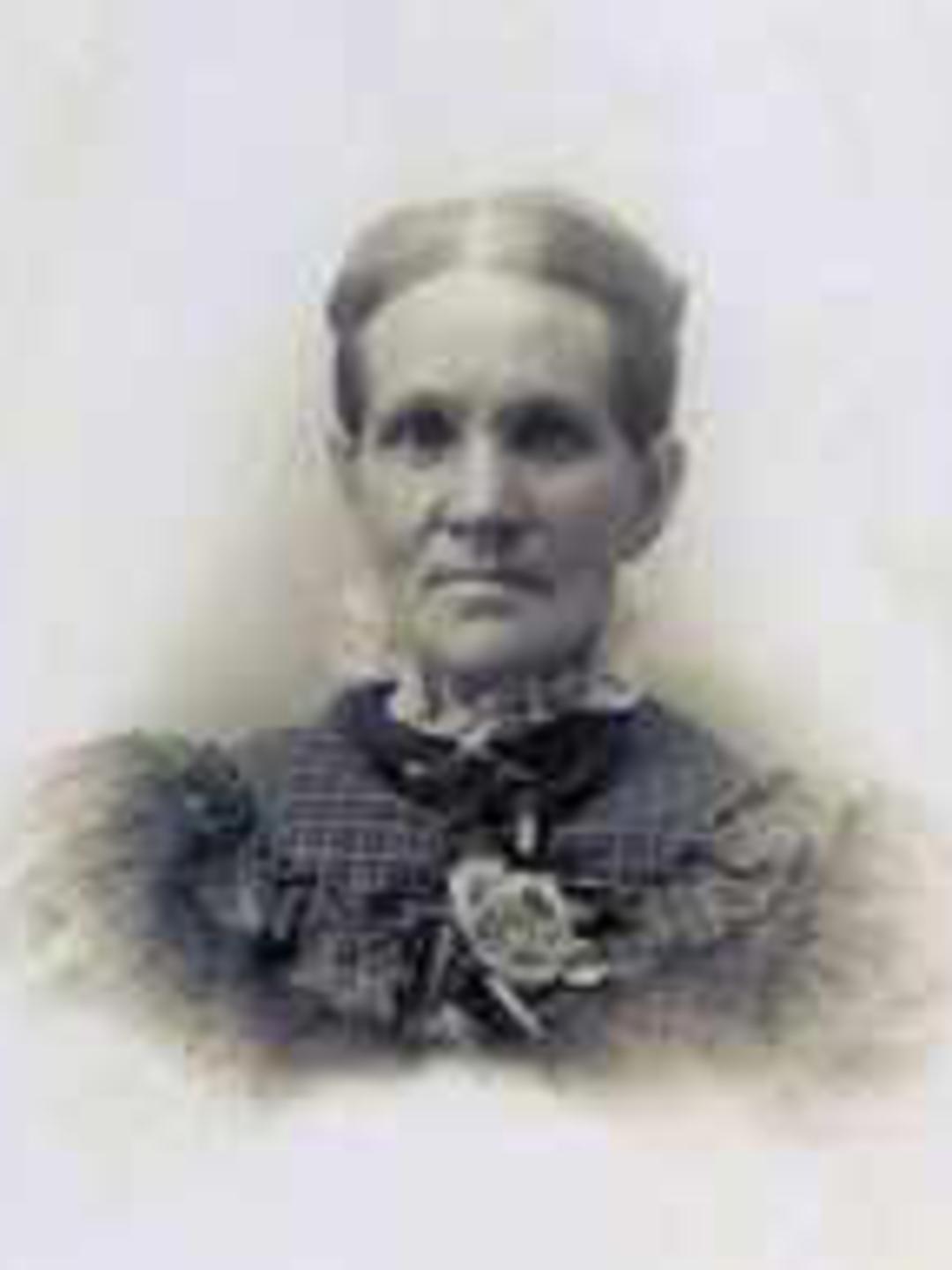Euphemia Izatt Adamson (1847 - 1922) Profile